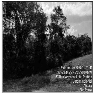 Terreno - Venda, MATO DENTRO, ATIBAIA, SP