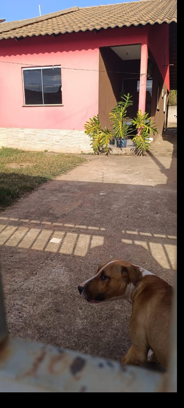 Casa - Venda, JARDIM ANA BEATRIZ I, SANTO ANTONIO DO DESCOBERTO, GO