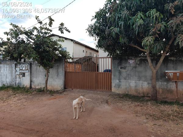 Casa - Venda, CENTRO, NOVO GAMA, GO